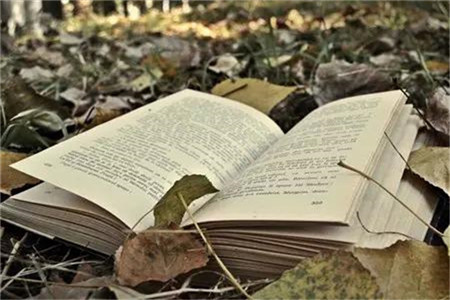 廣東自考大學(xué)英語(yǔ)免考條件有哪些？