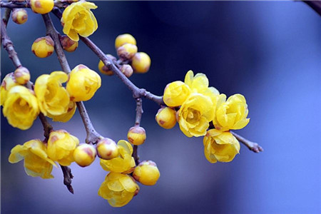 廣東自考專科和本科的區(qū)別是什么?